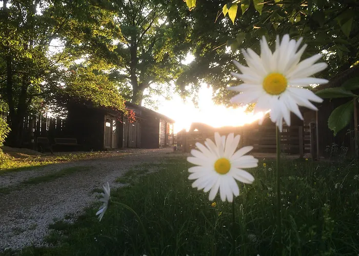 Ferienwohnungen Hoettingen Hottingen