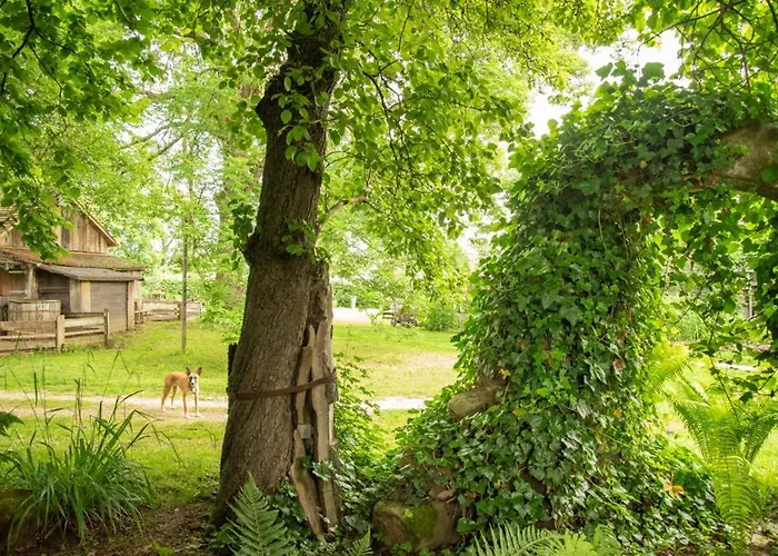 Ferienwohnungen Hoettingen Apartmán Hottingen