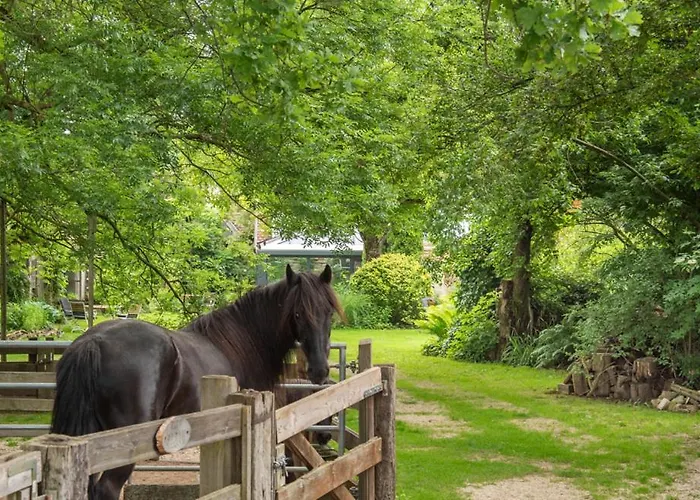 Ferienwohnungen Hoettingen Apartmán *